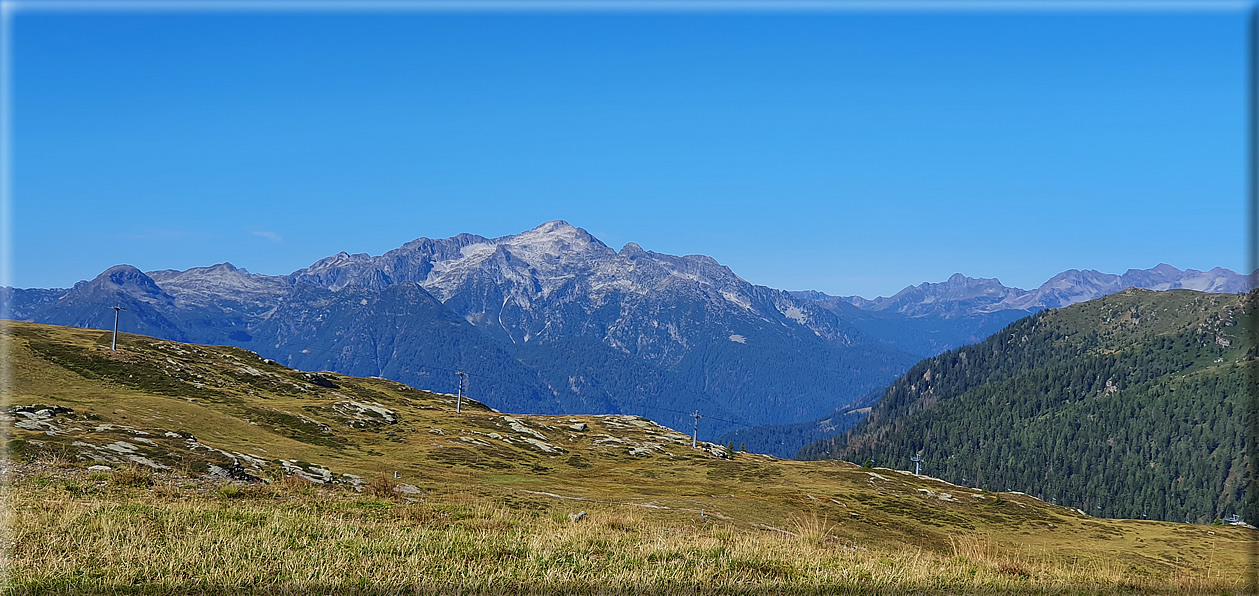foto Alpe Tognola